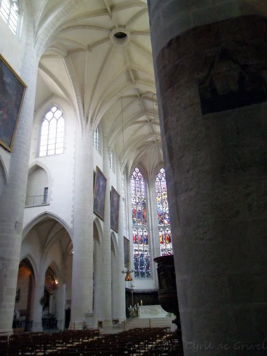 Allée centrale de La collégiale Notre-Dame