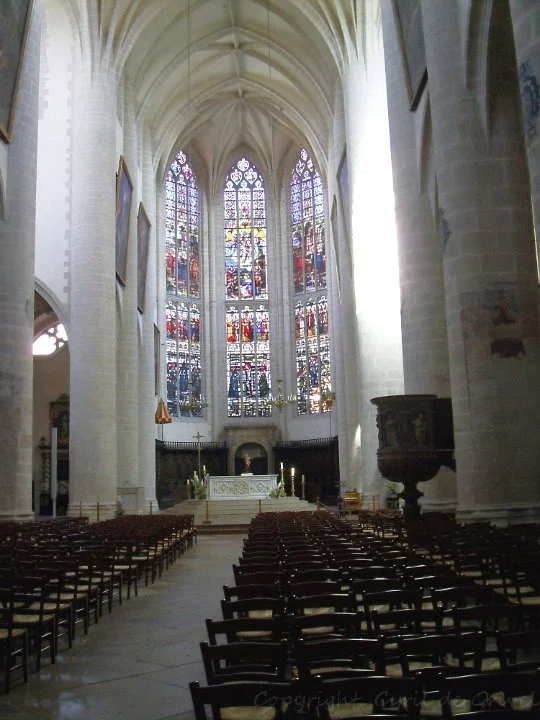 Allée centrale de La collégiale Notre-Dame
