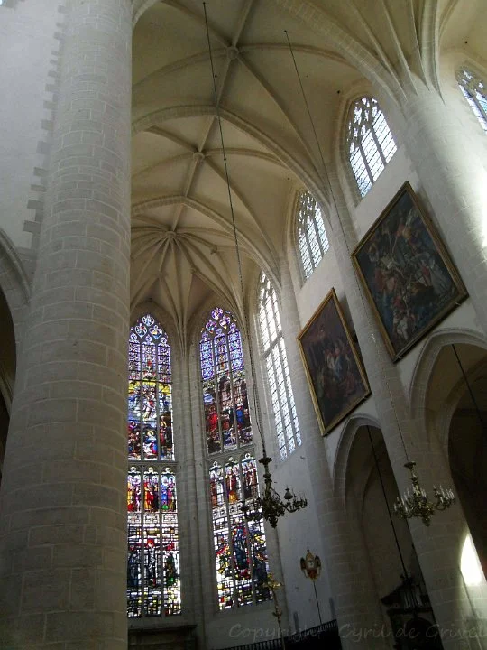 Plafond et Vitrail de La collégiale Notre-Dame